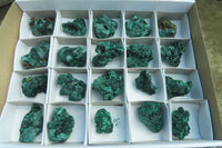 Natural Silky Malachite Specimens x 20 From Kasompe, Congo - Toprock Gemstones and Minerals 