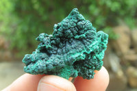 Natural Silky Malachite Specimens x 20 From Kasompe, Congo - Toprock Gemstones and Minerals 