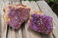 Natural Amethystos Amethyst Specimens x 12 From Kwaggafontein, South Africa - Toprock Gemstones and Minerals 