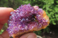 Natural Amethystos Amethyst Specimens x 12 From Kwaggafontein, South Africa - Toprock Gemstones and Minerals 
