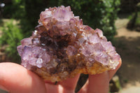 Natural Amethystos Amethyst Specimens x 12 From Kwaggafontein, South Africa - Toprock Gemstones and Minerals 