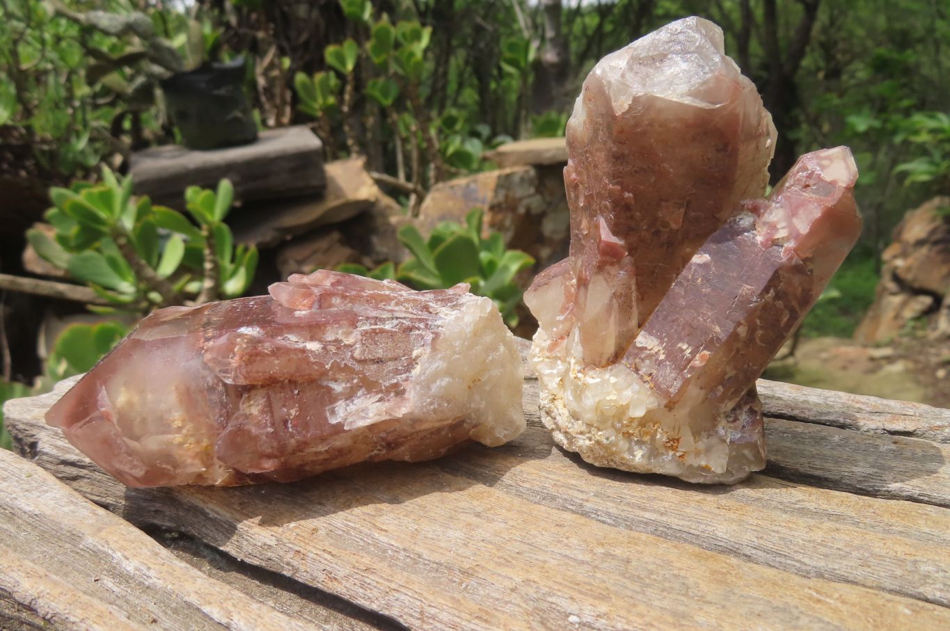 Natural Red Hematoid Quartz Clusters x 12 From Karoi, Zimbabwe - Toprock Gemstones and Minerals 