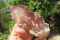 Natural Red Hematoid Quartz Clusters x 12 From Karoi, Zimbabwe - Toprock Gemstones and Minerals 