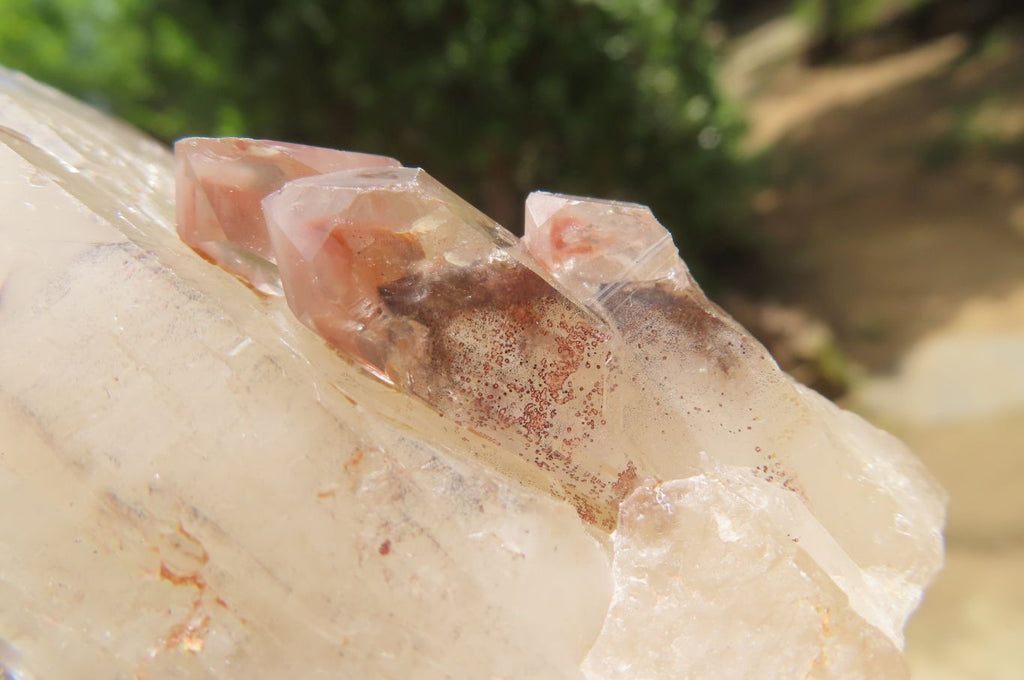 Natural Red Hematoid Quartz Clusters x 12 From Karoi, Zimbabwe - Toprock Gemstones and Minerals 