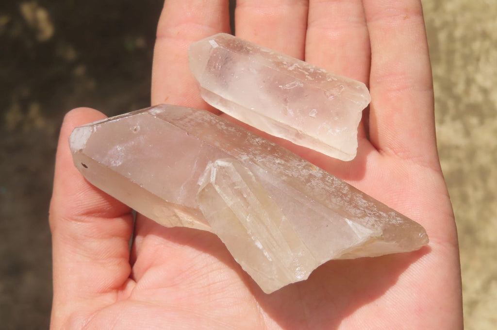 Natural Clear Quartz Crystals x 48 From Madagascar - Toprock Gemstones and Minerals 