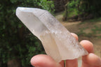 Natural Clear Quartz Crystals x 48 From Madagascar - Toprock Gemstones and Minerals 