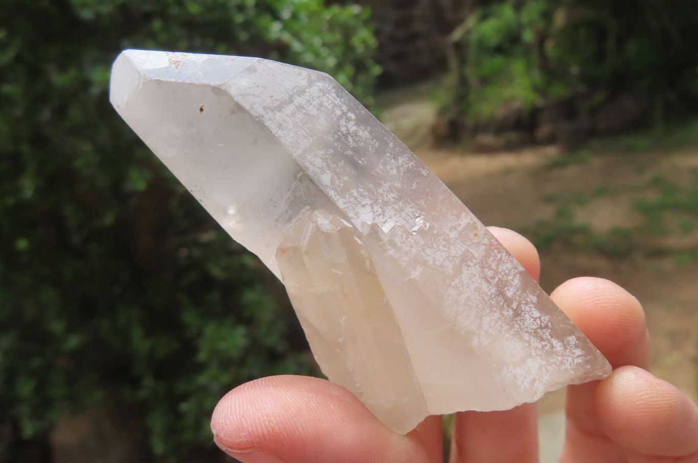 Natural Clear Quartz Crystals x 48 From Madagascar - Toprock Gemstones and Minerals 