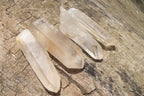 Natural Clear Quartz Crystals x 48 From Madagascar - Toprock Gemstones and Minerals 