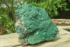 Natural Botryoidal Malachite Specimens x 2 From Tenke Fungurume, Congo - Toprock Gemstones and Minerals 