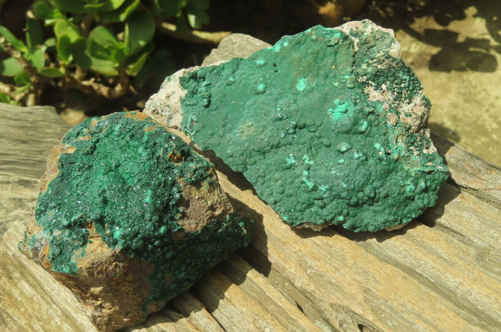Natural Botryoidal Malachite Specimens x 2 From Tenke Fungurume, Congo - Toprock Gemstones and Minerals 
