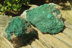 Natural Botryoidal Malachite Specimens x 2 From Tenke Fungurume, Congo - Toprock Gemstones and Minerals 