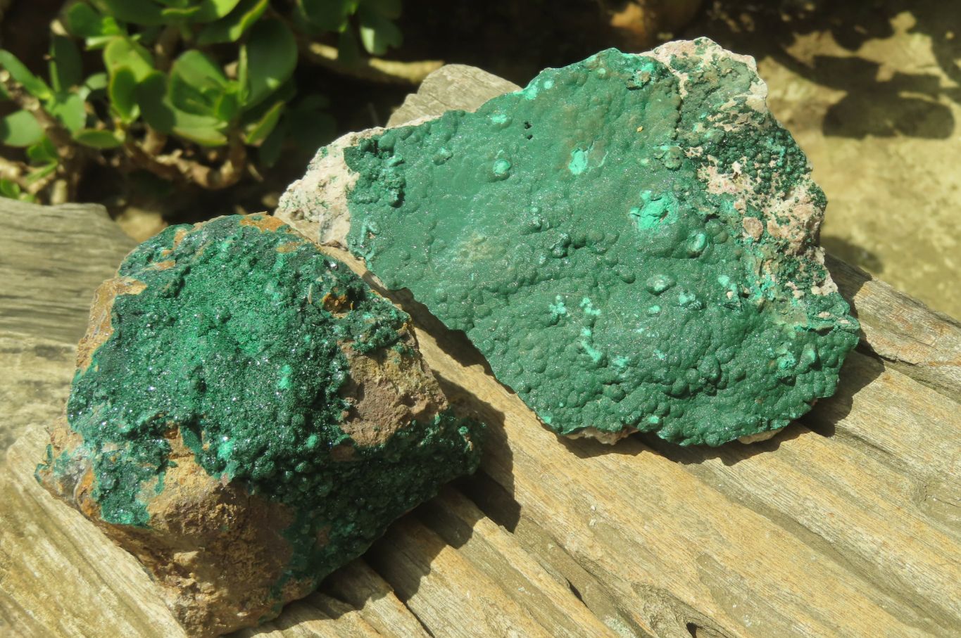 Natural Botryoidal Malachite Specimens x 2 From Tenke Fungurume, Congo - Toprock Gemstones and Minerals 