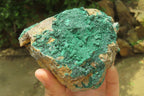 Natural Botryoidal Malachite Specimens x 2 From Tenke Fungurume, Congo - Toprock Gemstones and Minerals 