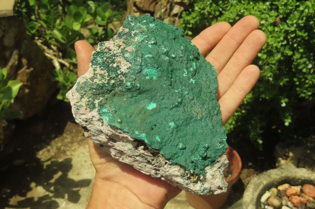 Natural Botryoidal Malachite Specimens x 2 From Tenke Fungurume, Congo - Toprock Gemstones and Minerals 