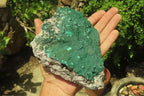 Natural Botryoidal Malachite Specimens x 2 From Tenke Fungurume, Congo - Toprock Gemstones and Minerals 