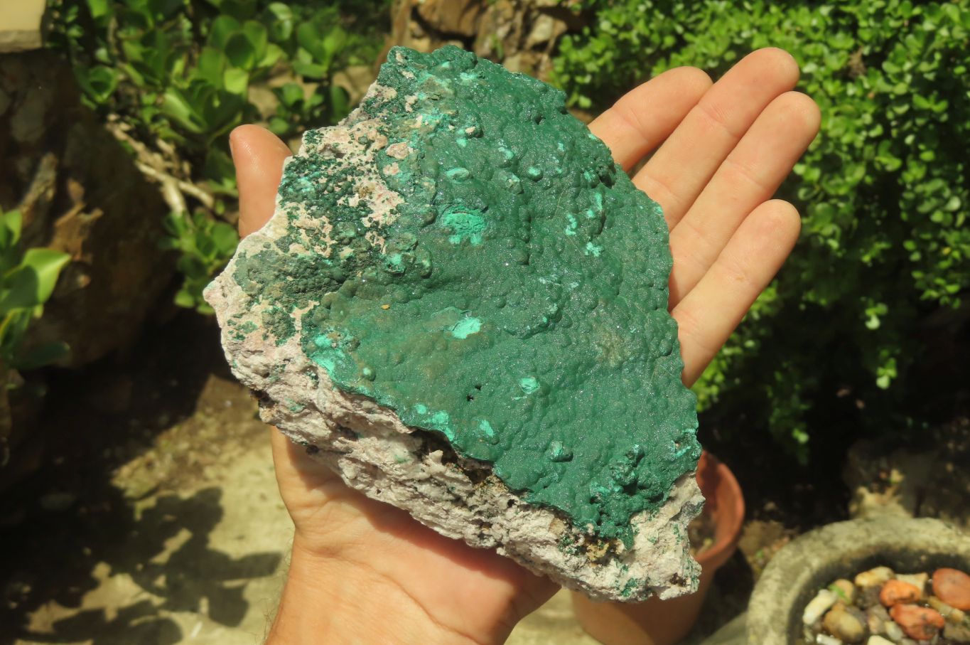 Natural Botryoidal Malachite Specimens x 2 From Tenke Fungurume, Congo - Toprock Gemstones and Minerals 