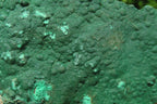 Natural Botryoidal Malachite Specimens x 2 From Tenke Fungurume, Congo - Toprock Gemstones and Minerals 