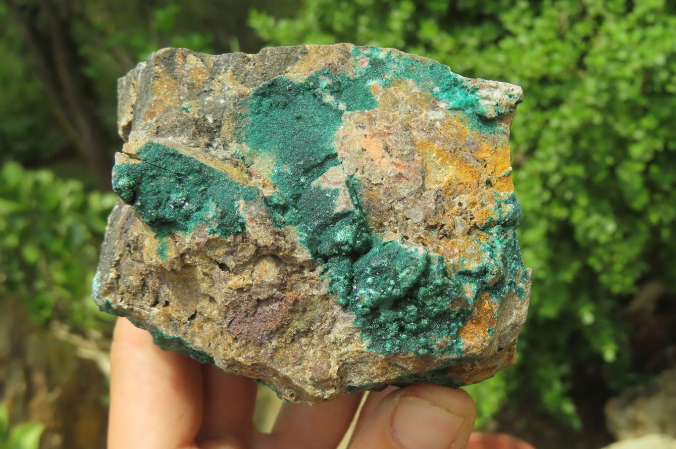 Natural Botryoidal Malachite Specimens x 2 From Tenke Fungurume, Congo - Toprock Gemstones and Minerals 