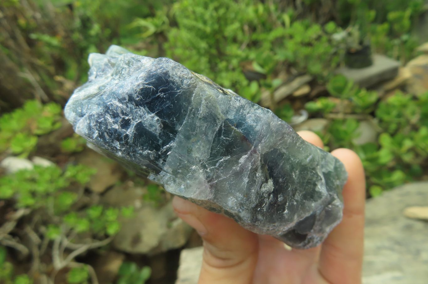 Natural Watermelon Fluorite Cobbed Specimens x 7 From Uis, Namibia - Toprock Gemstones and Minerals 