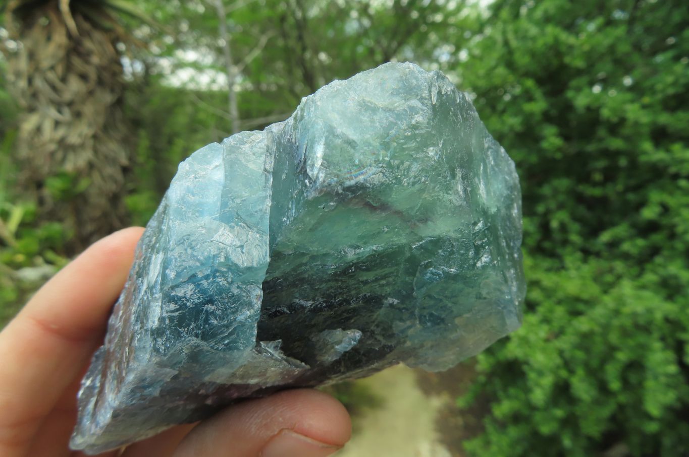 Natural Watermelon Fluorite Cobbed Specimens x 7 From Uis, Namibia - Toprock Gemstones and Minerals 