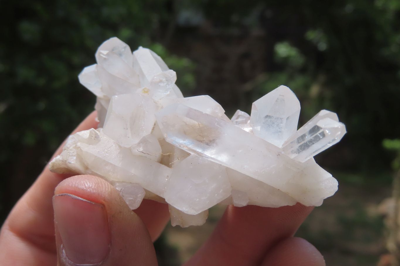 Natural Clear Quartz Clusters x 27 From Madagascar - Toprock Gemstones and Minerals 