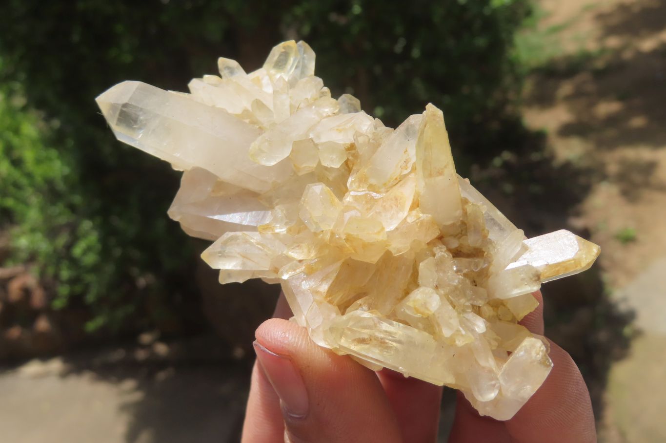 Natural Clear Quartz Clusters x 27 From Madagascar - Toprock Gemstones and Minerals 