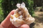 Natural Clear Quartz Clusters x 27 From Madagascar - Toprock Gemstones and Minerals 