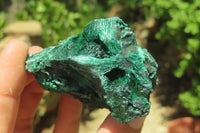 Natural Silky Malachite Specimens x 12 From Kasompe, Congo - Toprock Gemstones and Minerals 