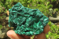 Natural Silky Malachite Specimens x 12 From Kasompe, Congo - Toprock Gemstones and Minerals 