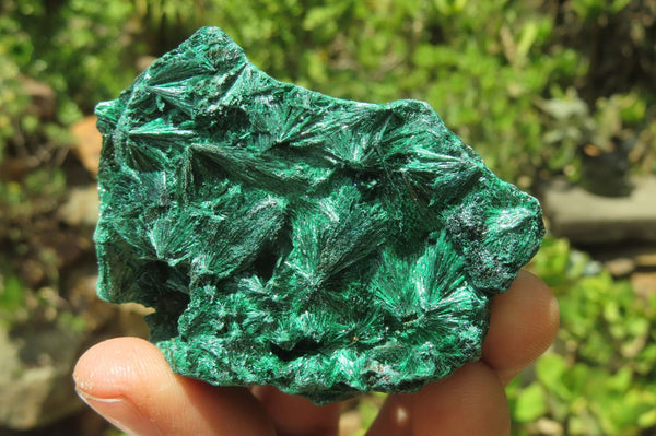 Natural Silky Malachite Specimens x 12 From Kasompe, Congo - Toprock Gemstones and Minerals 
