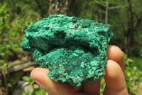 Natural Silky Malachite Specimens x 12 From Kasompe, Congo - Toprock Gemstones and Minerals 