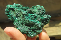 Natural Silky Malachite Specimens x 12 From Kasompe, Congo - Toprock Gemstones and Minerals 