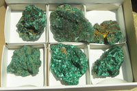 Natural Silky Malachite Specimens x 6 From Kasompe, Congo - Toprock Gemstones and Minerals 