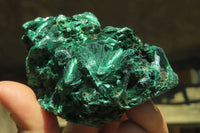 Natural Silky Malachite Specimens x 6 From Kasompe, Congo - Toprock Gemstones and Minerals 