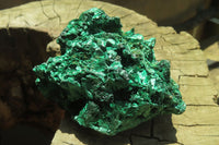 Natural Silky Malachite Specimens x 6 From Kasompe, Congo - Toprock Gemstones and Minerals 