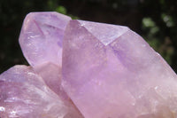 Natural Jacaranda Amethyst Quartz Clusters x 3 from Mumbwa, Zambia
