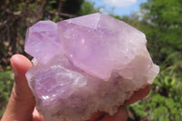 Natural Jacaranda Amethyst Quartz Clusters x 3 from Mumbwa, Zambia
