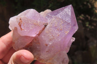 Natural Jacaranda Amethyst Quartz Clusters x 3 from Mumbwa, Zambia