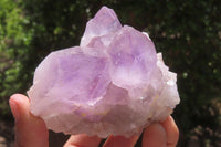 Natural Jacaranda Amethyst Quartz Clusters x 3 from Mumbwa, Zambia