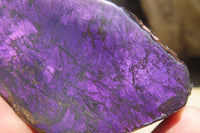 Polished On One Side Metallic Purpurite Specimens x 6 From Namibia - Toprock Gemstones and Minerals 