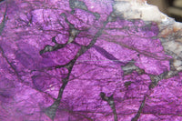 Polished On One Side Metallic Purpurite Specimens x 6 From Namibia - Toprock Gemstones and Minerals 