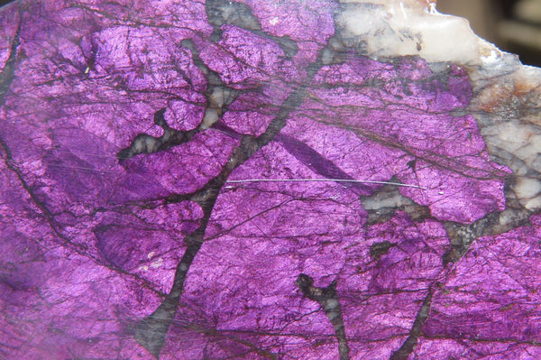 Polished On One Side Metallic Purpurite Specimens x 6 From Namibia - Toprock Gemstones and Minerals 