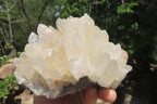 Natural Clear Quartz Clusters x 3 From Mpika, Zambia - Toprock Gemstones and Minerals 