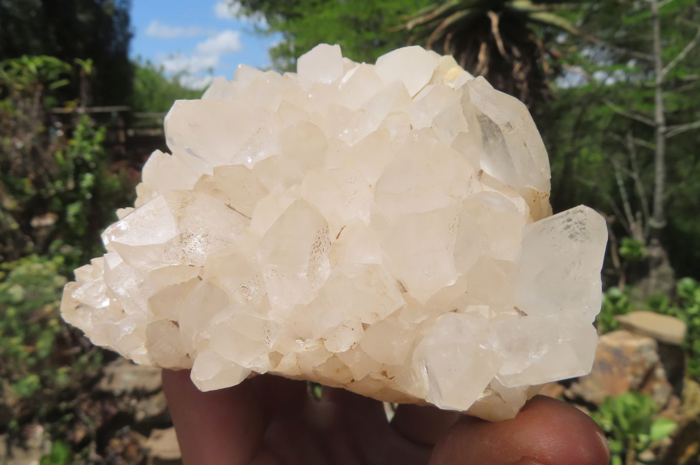 Natural Clear Quartz Clusters x 3 From Mpika, Zambia - Toprock Gemstones and Minerals 