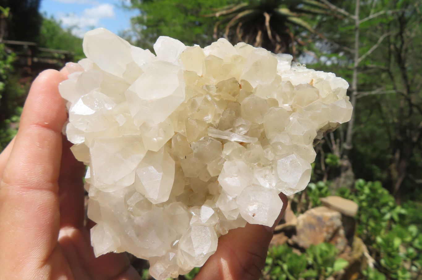 Natural Clear Quartz Clusters x 3 From Mpika, Zambia - Toprock Gemstones and Minerals 
