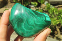 Polished Flower Banded Malachite Free Forms x 6 From Congo - Toprock Gemstones and Minerals 