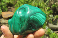 Polished Flower Banded Malachite Free Forms x 6 From Congo - Toprock Gemstones and Minerals 
