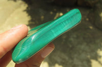Polished Flower Banded Malachite Free Forms x 6 From Congo - Toprock Gemstones and Minerals 