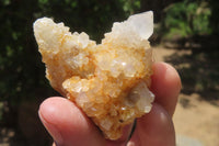 Natural Mixed Spirit Quartz Clusters x 35 From Boekenhouthoek, South Africa - Toprock Gemstones and Minerals 