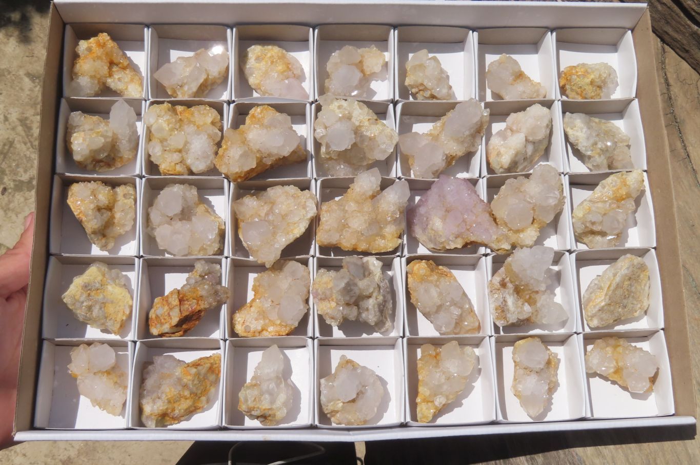 Natural Mixed Spirit Quartz Clusters x 35 From Boekenhouthoek, South Africa - Toprock Gemstones and Minerals 